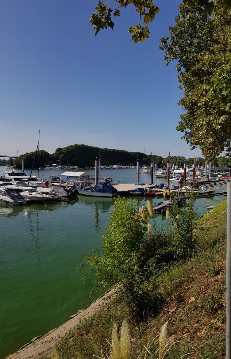 Impression aus Schierstein 6