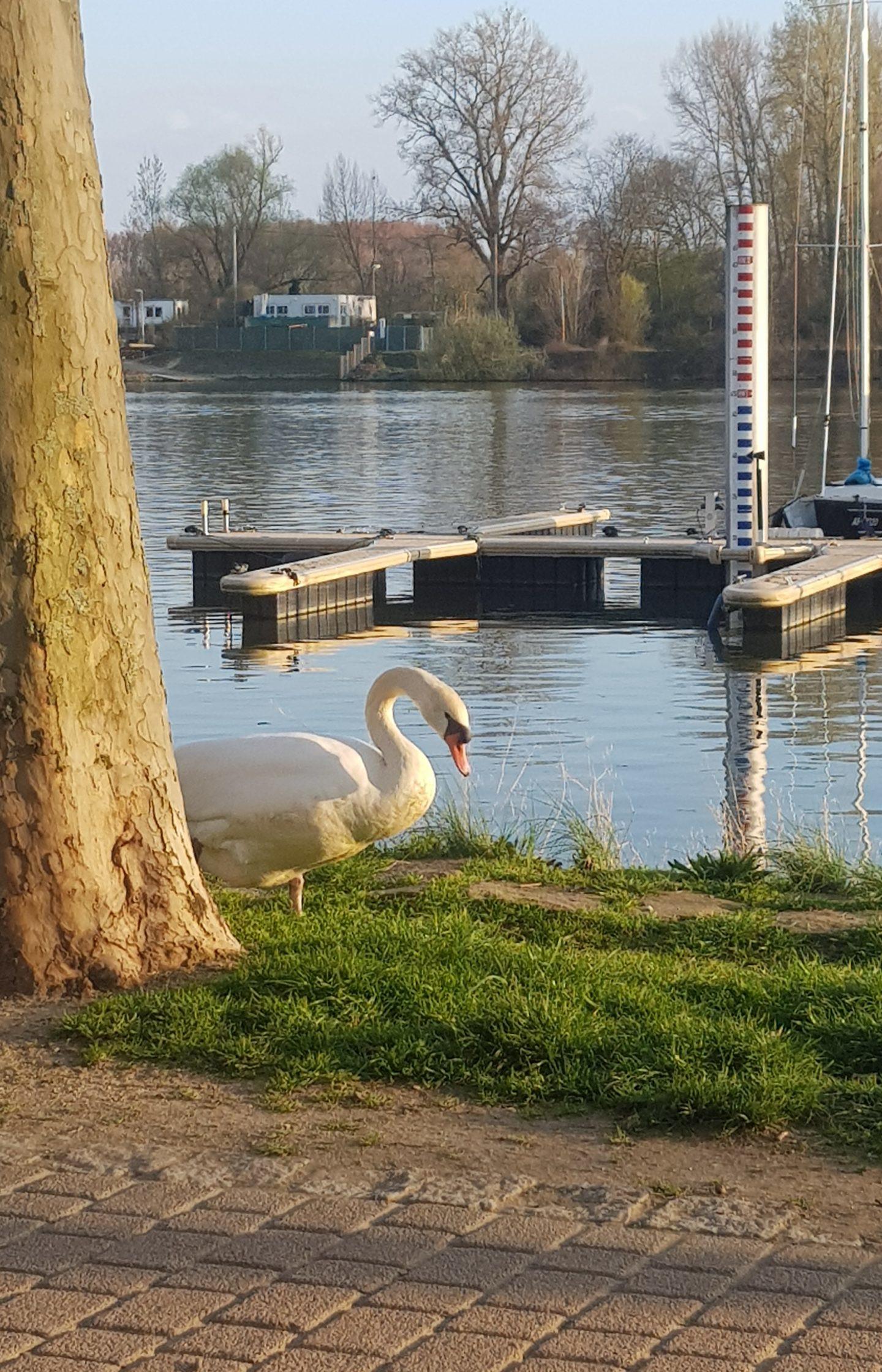 Impression aus Schierstein 8